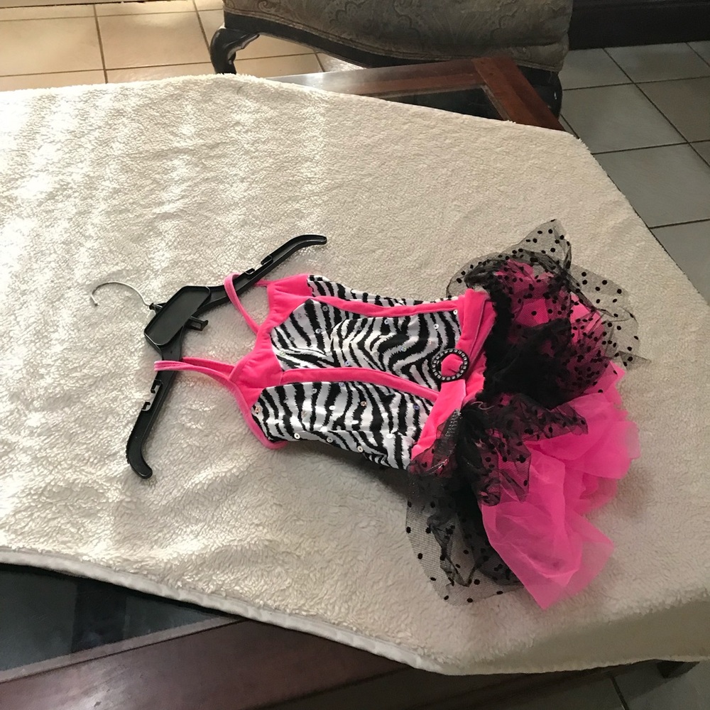 Pink and Zebra Dress Up